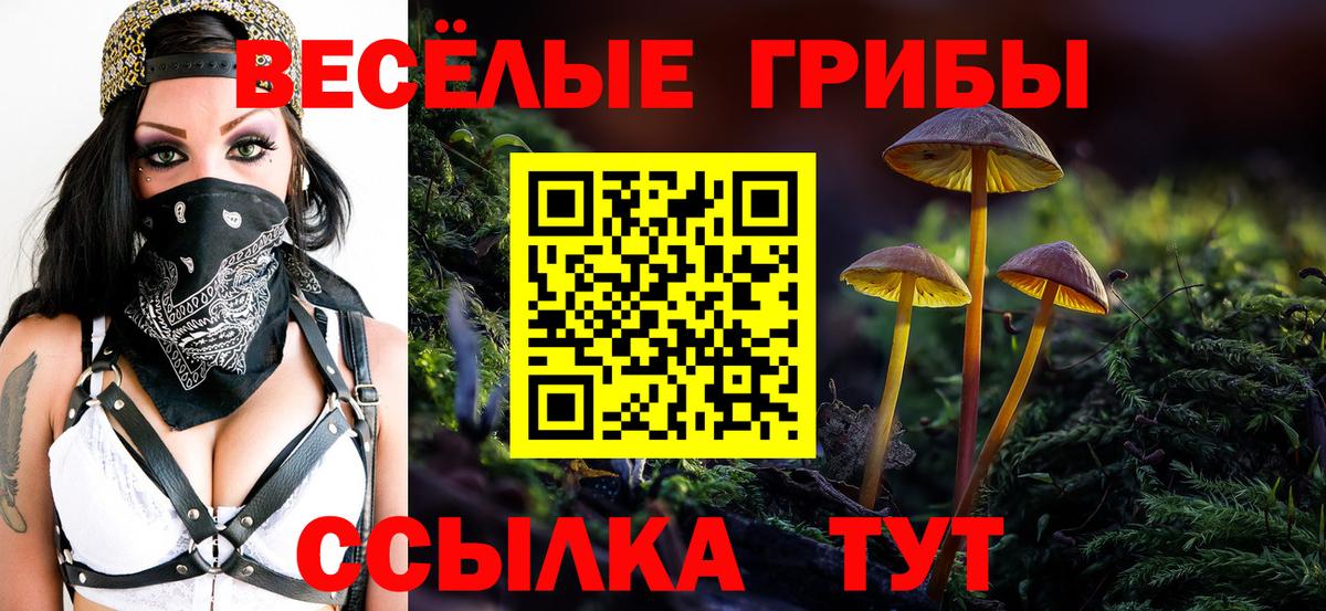 где продают   Псилоцибиновые грибы GOLDEN TEACHER  Вход с VPN  Новочебоксарск 